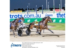 Harness Racing action