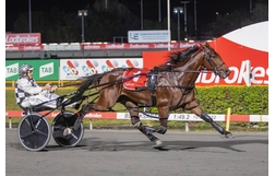 Harness Racing action