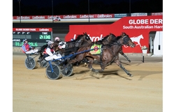 Harness Racing action