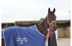 Harness Racing action