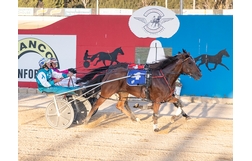 Harness Racing action