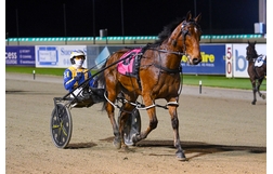 Harness Racing action