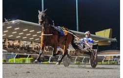 Harness Racing action