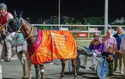 Harness Racing action