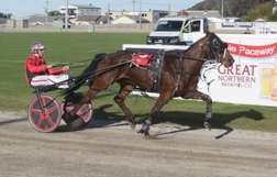 Harness Racing action