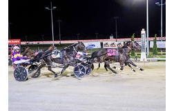 Harness Racing action