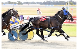 Harness Racing action