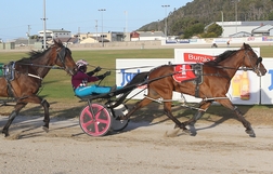 Harness Racing action