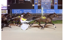 Harness Racing action