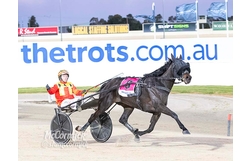 Harness Racing action