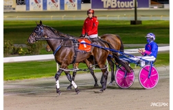 Harness Racing action