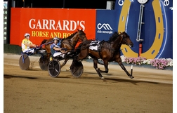 Harness Racing action