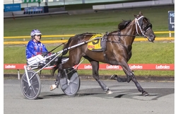 Harness Racing action