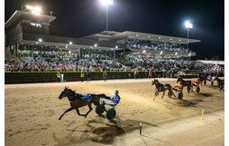 Harness Racing action