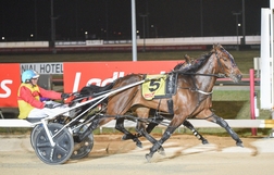 Harness Racing action