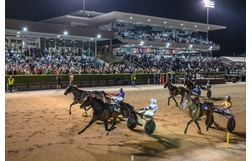 Harness Racing action