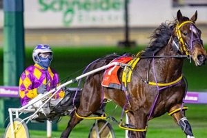 Never Ending returns to Gloucester Park tonight for the G3 $50k Winter Cup