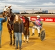 SA TROTS- Front runner Our Spitfire too good for rivals at Port Pirie