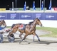 Hamilton: Herbertson's star shines bright on Sportsbet Victoria Cup night