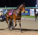 Victoria Cup win boosts Swayzee in ID24 rankings