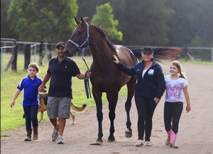 Back in town: Popular pacer Ultimate Art has returned north to the stables of Shannon Price and Scott Miller