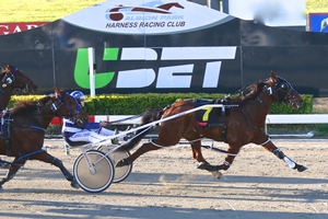 Champ: Destreos wins his final start at Albion Park today (Tuesday)