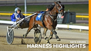 Tasmanian Harness Highlights