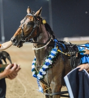 2021 Raith Memorial winner Sioux Rainbow.