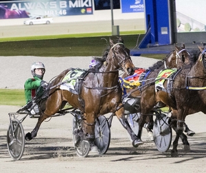 News Article - Australian Harness Racing