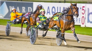 Captains Knock will go around in Race 2 at Menangle on Saturday night.