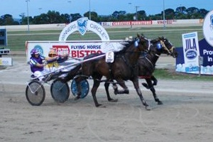 Savesomtimetodream has been nominated for Sunday's Hamilton Pacing Cup