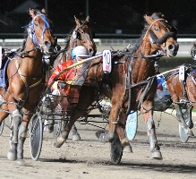 Mister Douglas, who won on Monday, was a regular top performer at Moonee Valley.