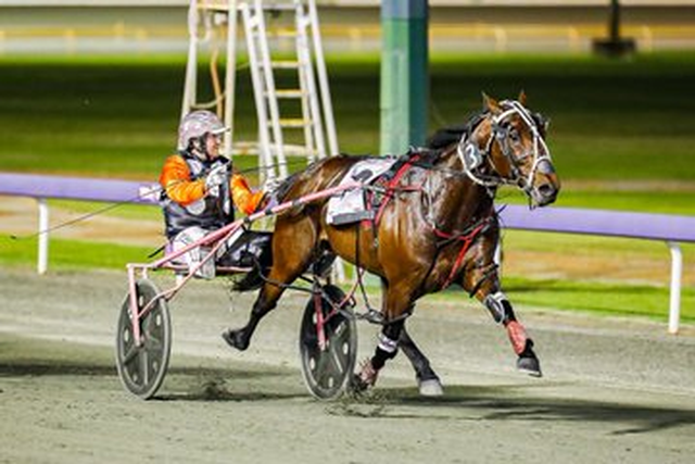 Home - Australian Harness Racing