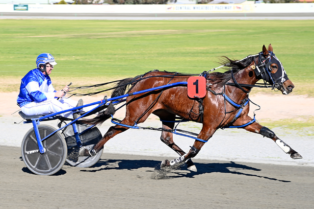 home-australian-harness-racing