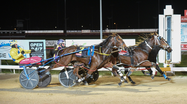 Albion Park - Queensland - Australian Harness Racing